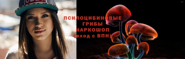 ПСИЛОЦИБИНОВЫЕ ГРИБЫ Абдулино